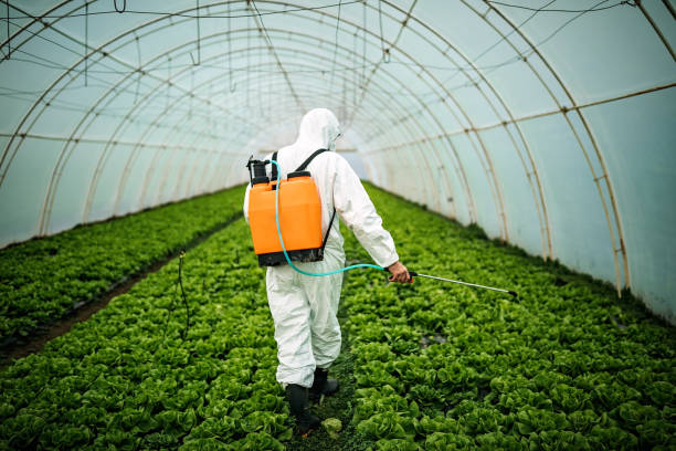 Best Local Pest Control Services  in Bradford Woods, PA