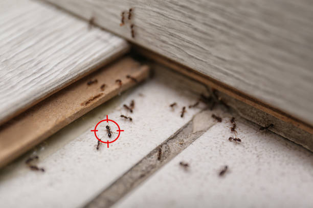  Bradford Woods, PA Pest Control Pros