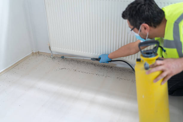 Best Bed Bug Extermination  in Bradford Woods, PA