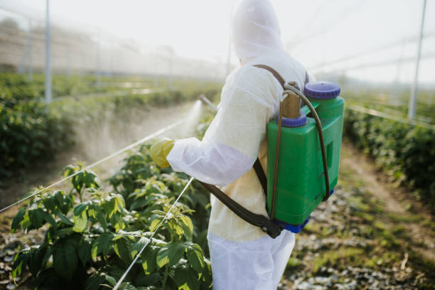 Best Flea Control Services  in Bradford Woods, PA
